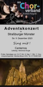 Adventskonzert Cantemos im Straßburger Münster @ Straßburger Münster (Cathédrale Notre-Dame de Strasbourg)
